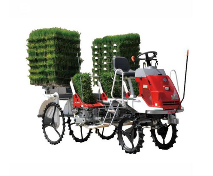 Rice bowl seedling transplanter (JYNBY-6B)