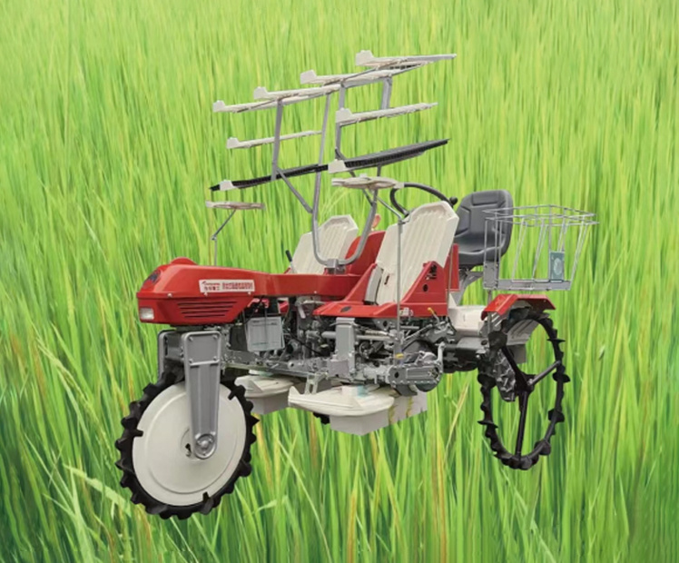 Rice bowl seedling transplanter (JYNBY-4B)