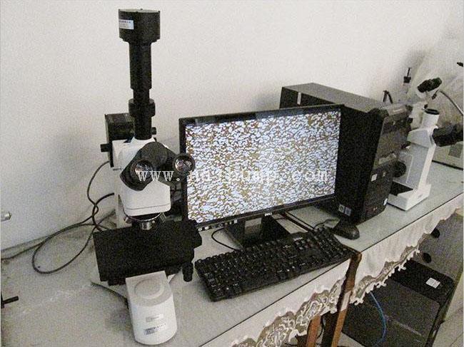 Metallographic inspection of castings