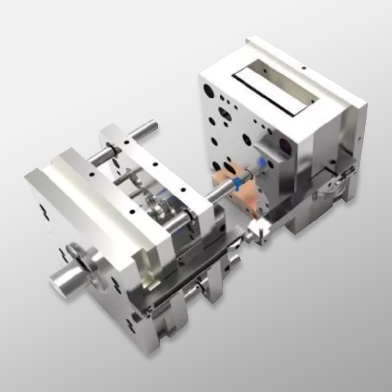 Injection mould - section