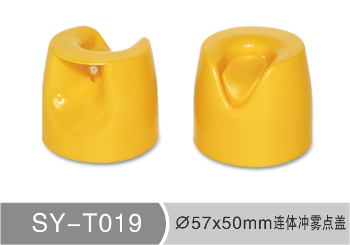 T019