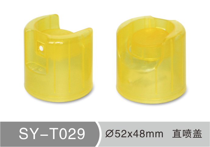 T029
