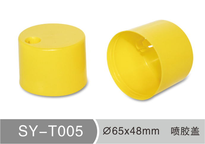 T005