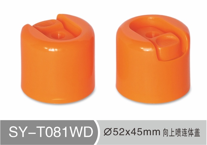 T081