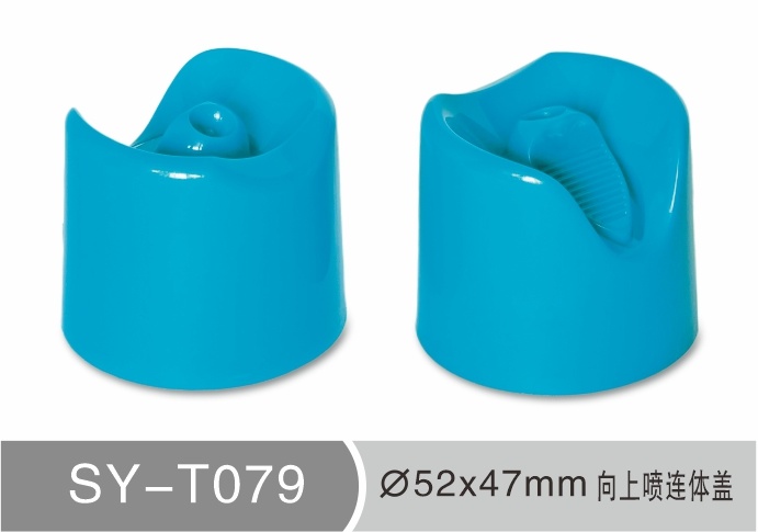 T079