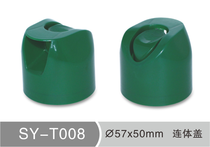 T008