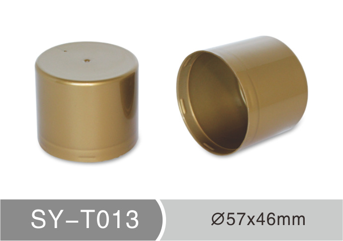 T013