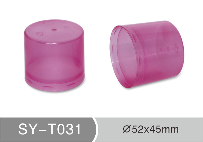 T031