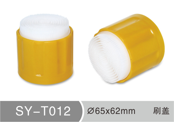 T012