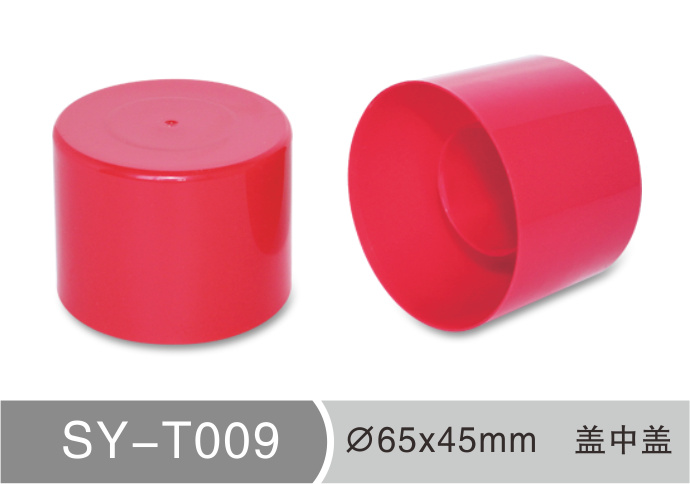 T009