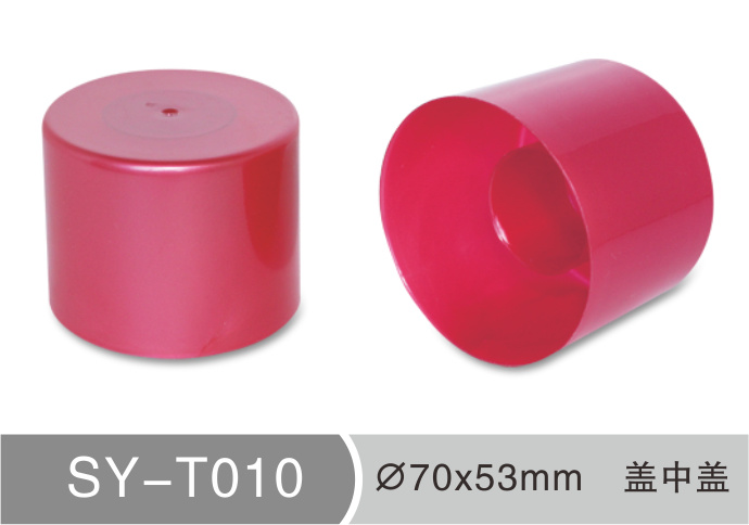T010