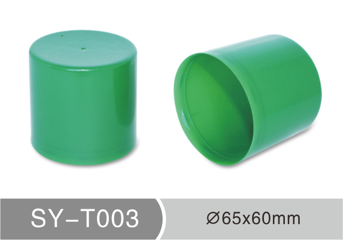 T003