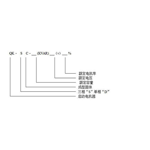 QKSG 启动电抗器