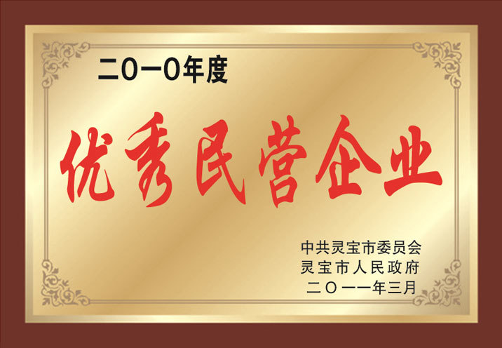 优秀民营企业