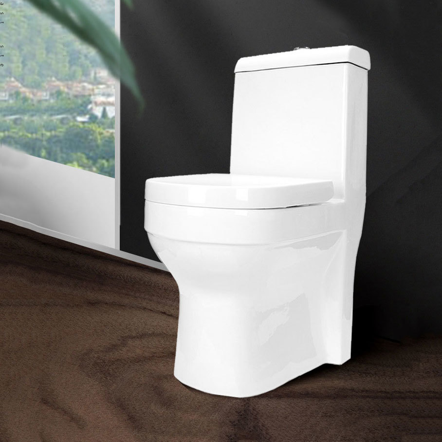 FP-109 foam toilet