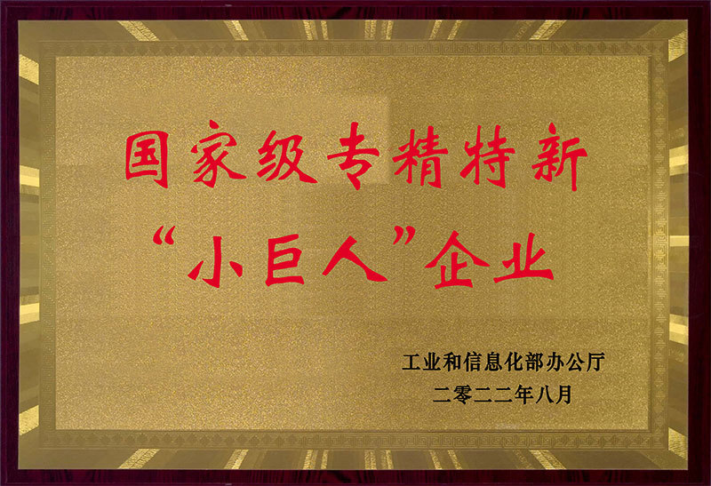 Specializing in Special New Small and Medium-sized Enterprises