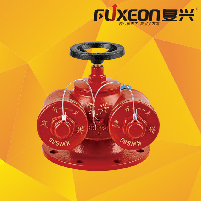 多用式消防水泵接合器（地上式）