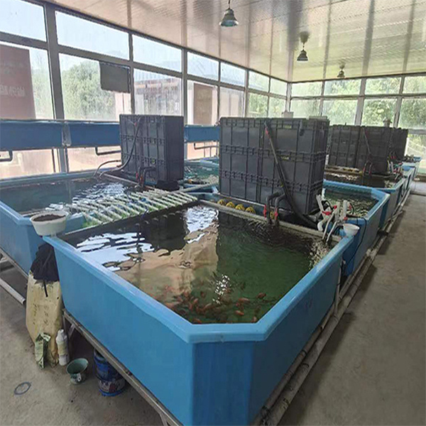 Fiberglass fish pond