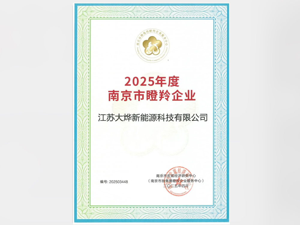 大烨新能源荣获2025年南京市瞪羚企业！