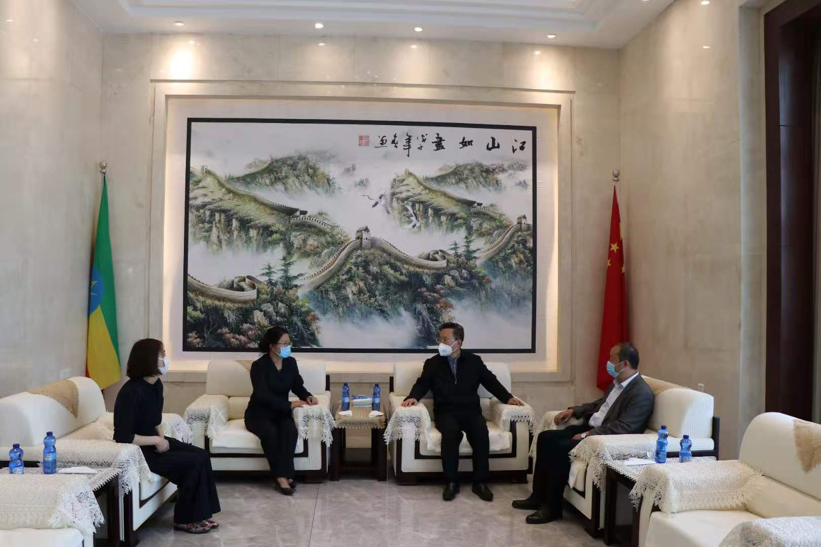 中国驻埃塞俄比亚大使赵志远一行莅临 埃塞三圣药业检查指导
