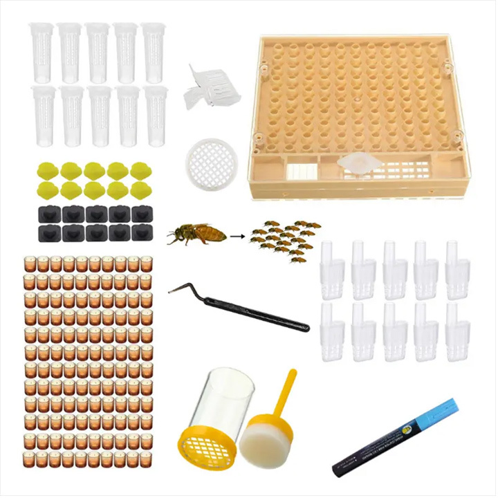 queen bee rearing