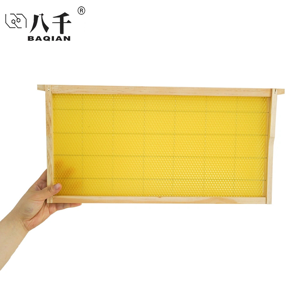 Wooden Frame With Wired Foundation