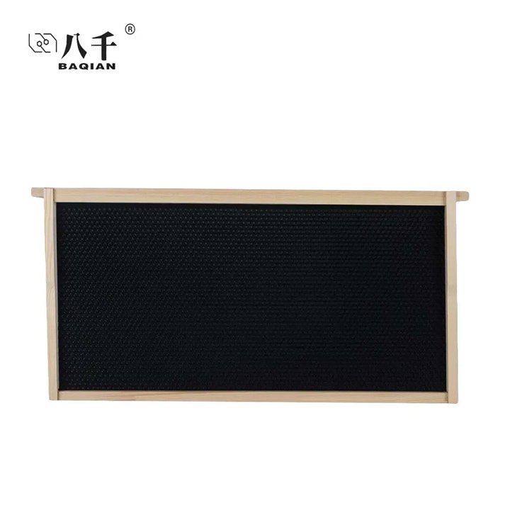 Bee Frame with Plastic Sheet