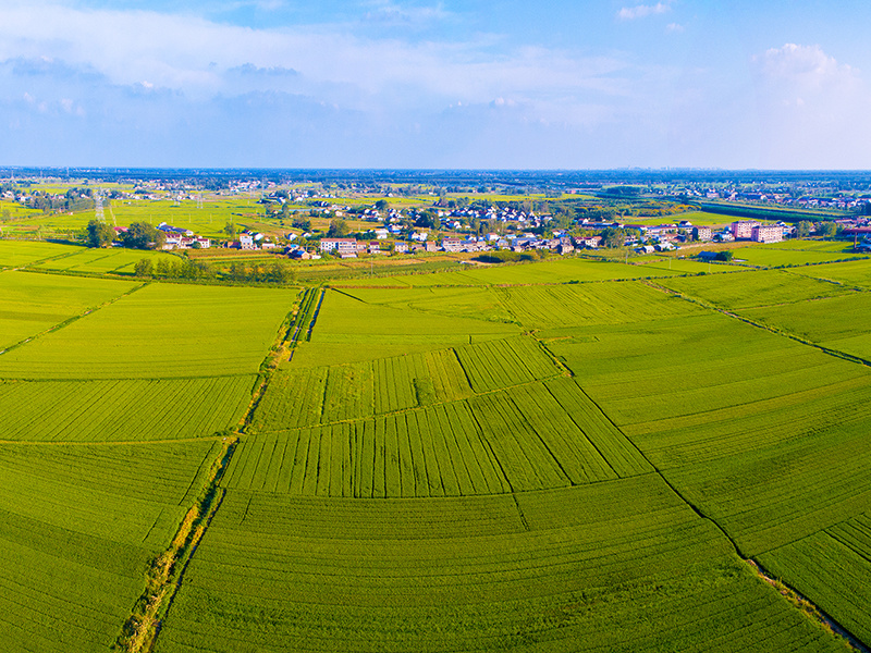 Agriculture and rural areas