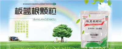 洛阳智昊工程科技有限公司