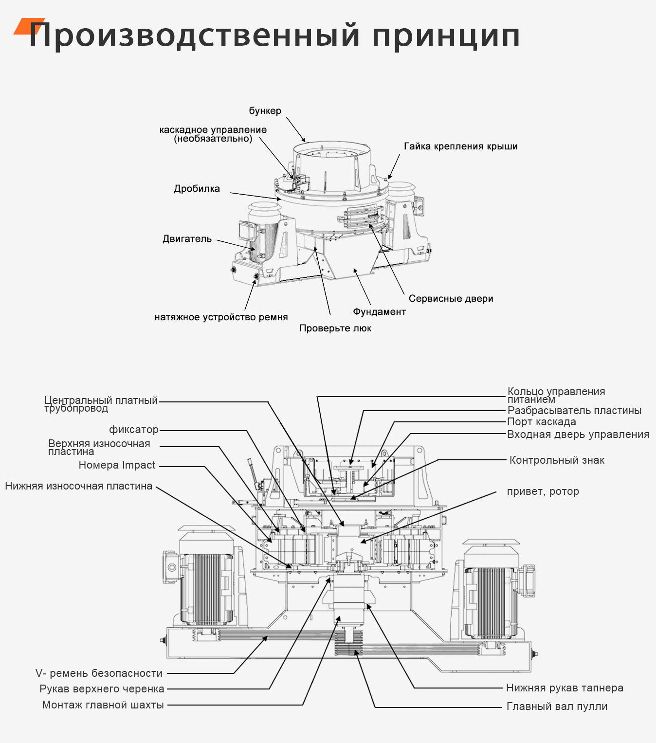 схема ротора