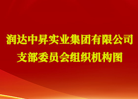 中昇实业整体有限公司支部委yuan会 组织机构图