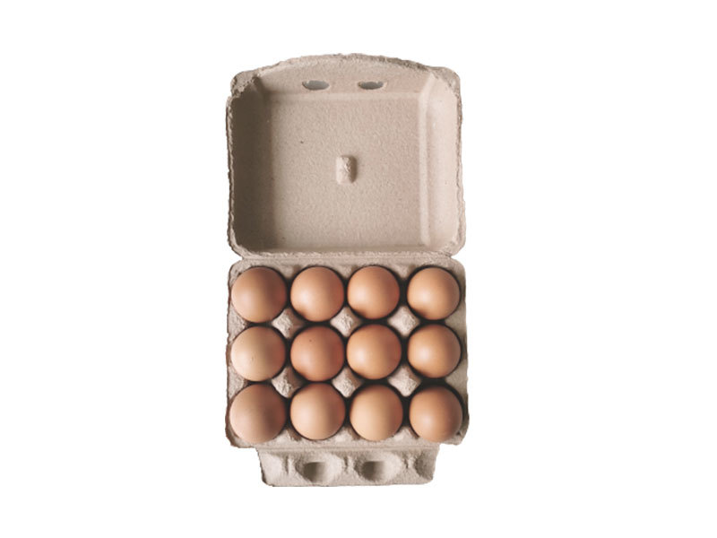 Twelve square boxes/ Egg Carton