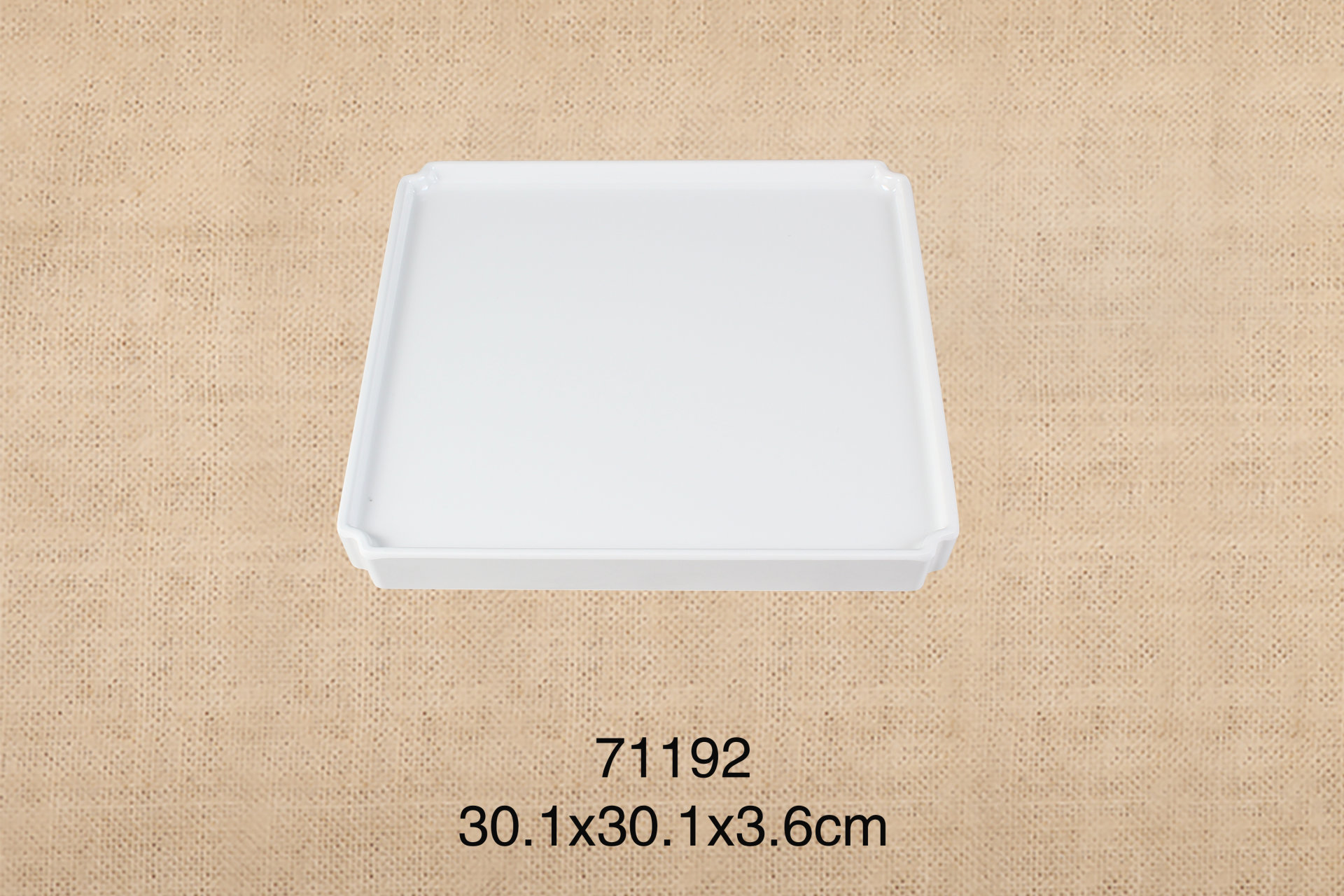 11.9寸四方盘
