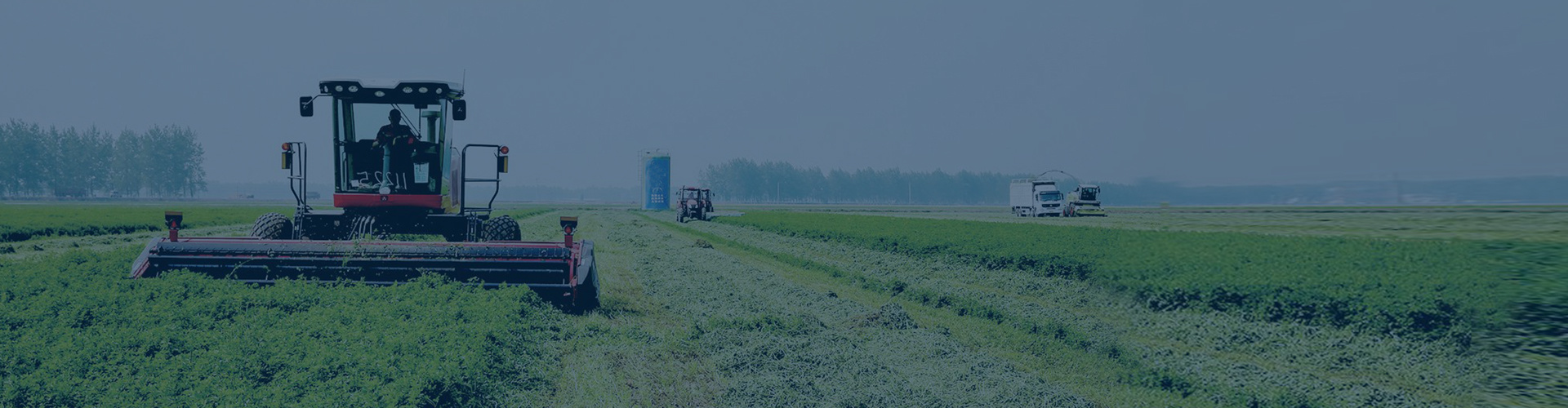 PASTURE