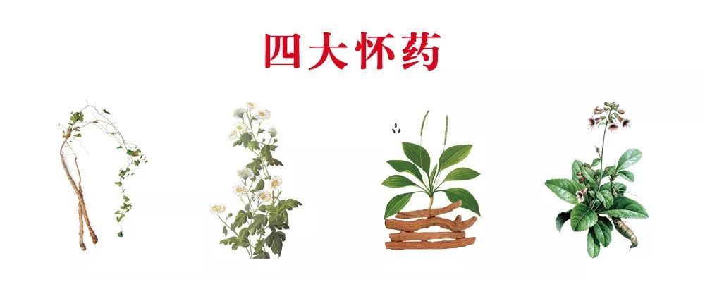 Carmakers | Kang Mingxuan master of traditional Chinese medicine library was established