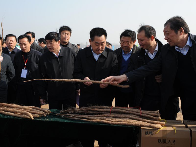 Liu Mancang, vice governor of Henan Province, is conducting investigation in the Company