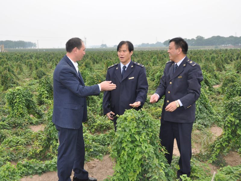 Leaders of Jiaozuo Inspection and Quarantine Bureau are visiting the Company