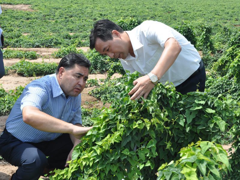 Leaders of Henan Provincial Development and Reform Commission are visiting the Company