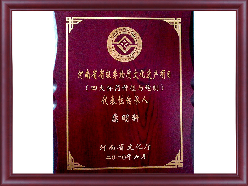2010.06河南省省級非遺產項目代表性傳承人