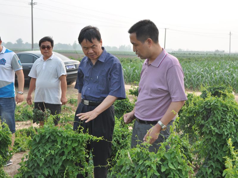 中国农业发展集团总经理郑清智在公司考察