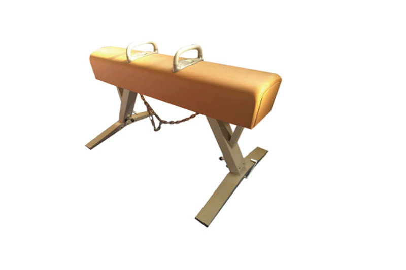 Pommel Horse And Special Mat