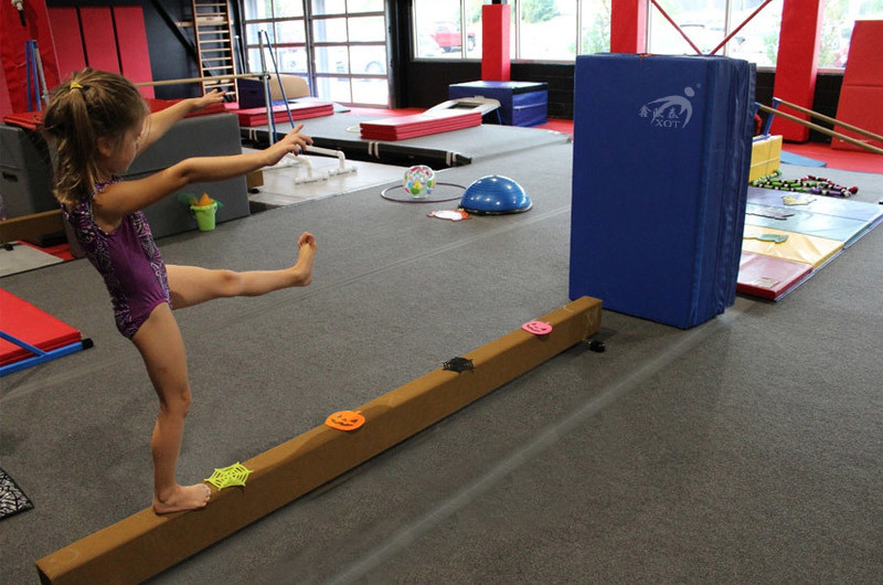 Recreational Gymnastics Series