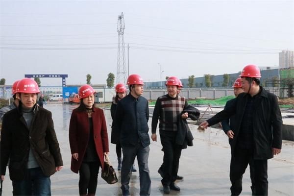 宜昌市住建委葉幫斌一行到電子信息產業園項目調研