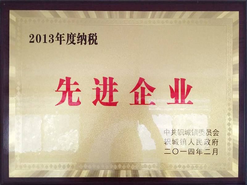 2013年度纳税先进企业