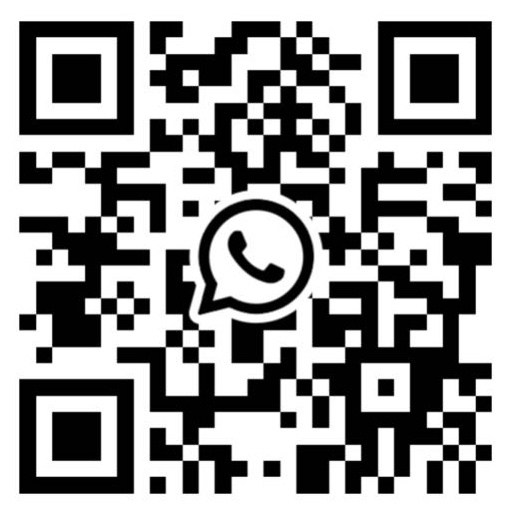 +86 153 5875 8725