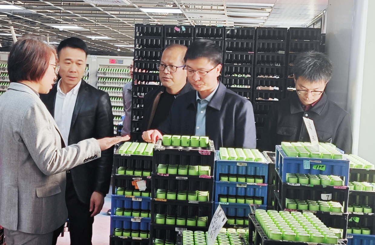 圖片名稱 圖片名稱