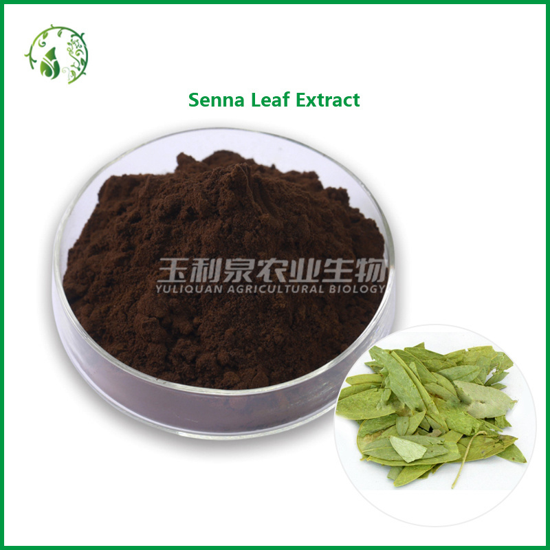 Senna Leaf P.E.