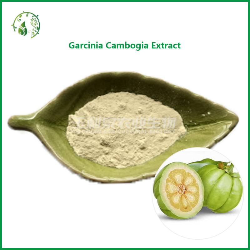 Garcinia Cambogia Extract