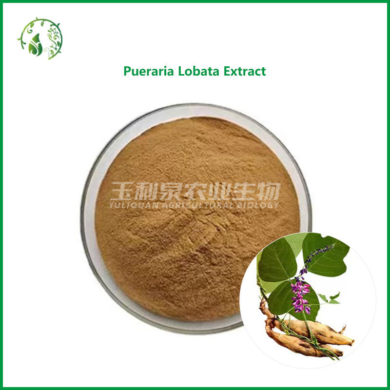 Pueraria Lobata Extract