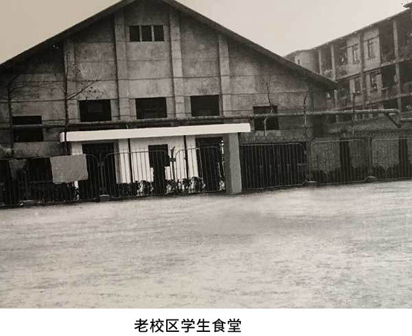 1978